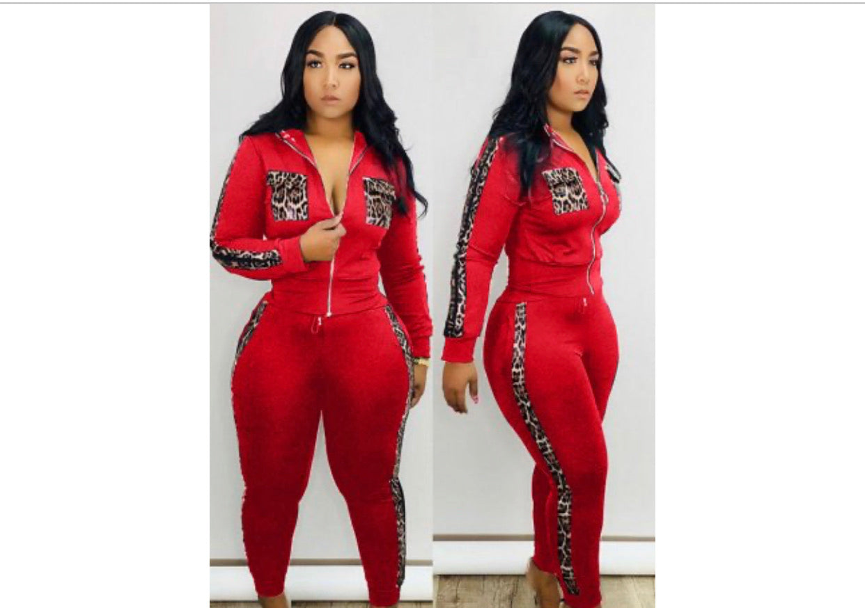 Lion 2 piece sets - Youmibeautystore